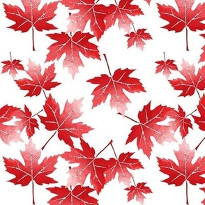 Maple Leaves White and Red