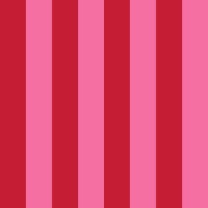 Pink and Red Vertical Stripes