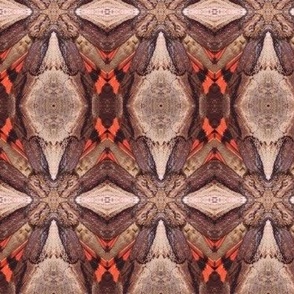 CK ILIA UNDERWING MOTH ABSTRACT 2-LARGE-MIRROR