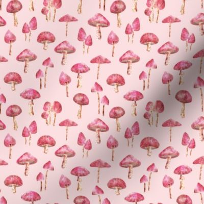 Pink Mushroom Woodland Forest (on Pink)