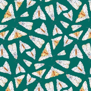 Salt Moth Terrazzo - Jade