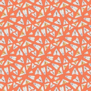 Salt Moth Terrazzo - Papaya - 50%