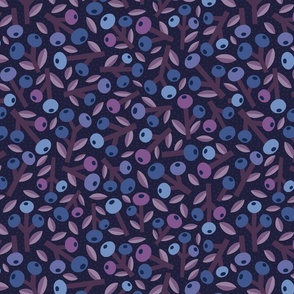 Blueberries \\ normal scale 0059 C \\