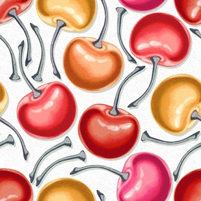 Multi-colored sweet cherry on a white background