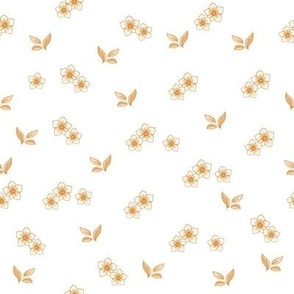 Sienna Flowers on White background