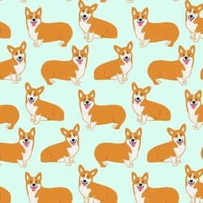 Cute Corgis on mint green 23