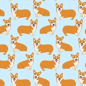 Corgis on pastel blue 39