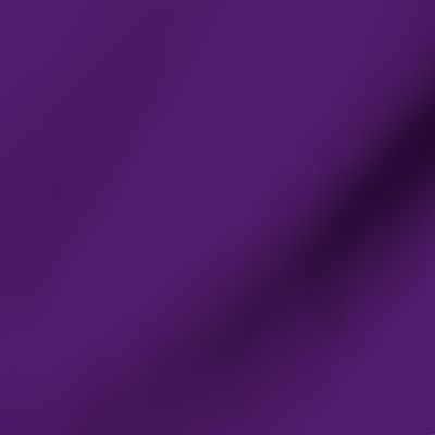 501D6A purple iris solid coordinate