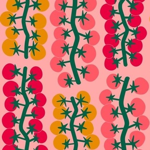 modern tomatoes on the vine - on pink