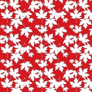 White Maple Leaves on Red Tiny