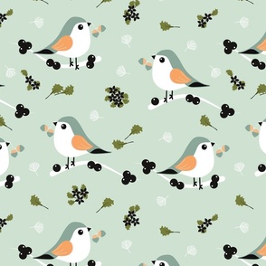 Winter Birds - Green - Wildlife - Robin - Acorn - Nature - Sage - Pigeon - Berries - Christmas - Festive