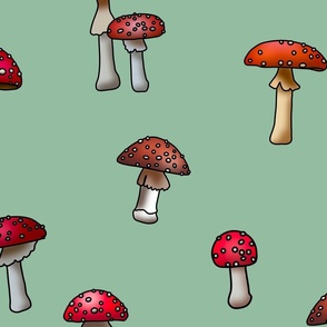 Magical Mushrooms M