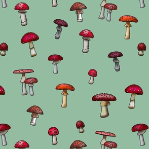 Magical Mushrooms S