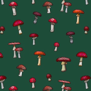 Magical Mushrooms S3