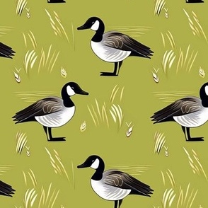 Canada Geese // Geese in reeds