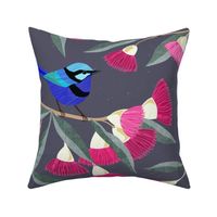 Splendid Fairy Wrens and Pink Eucalyptus - Dark grey, large scale by Cecca Designs