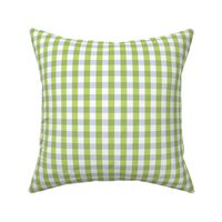 Preppy Lavender and Green Gingham