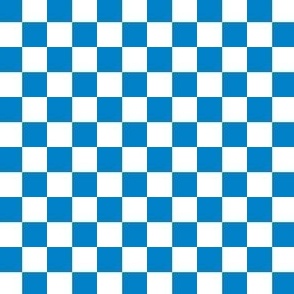 Blue and White Checkered Squares Medium