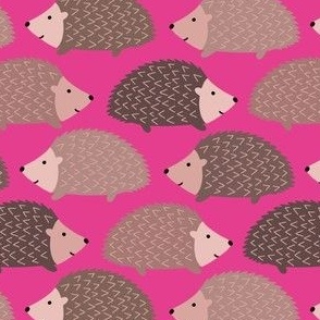 Hedgehog (on pink)