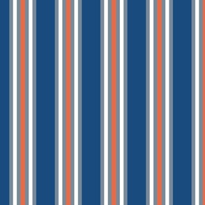 Tropical Paradise Ink Navy Blue Grey and Coral Vertical Stripe Coordinate Bold