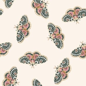 boho colorful moth night insect on cream