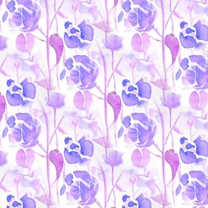 Purple Patio Roses