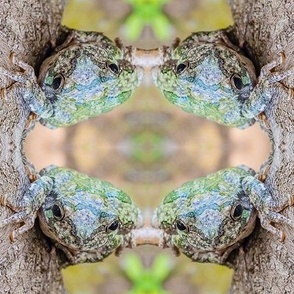 Treed Tree Frog (medium design)