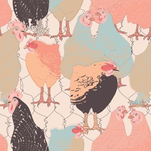 chickens in peach, blue and black