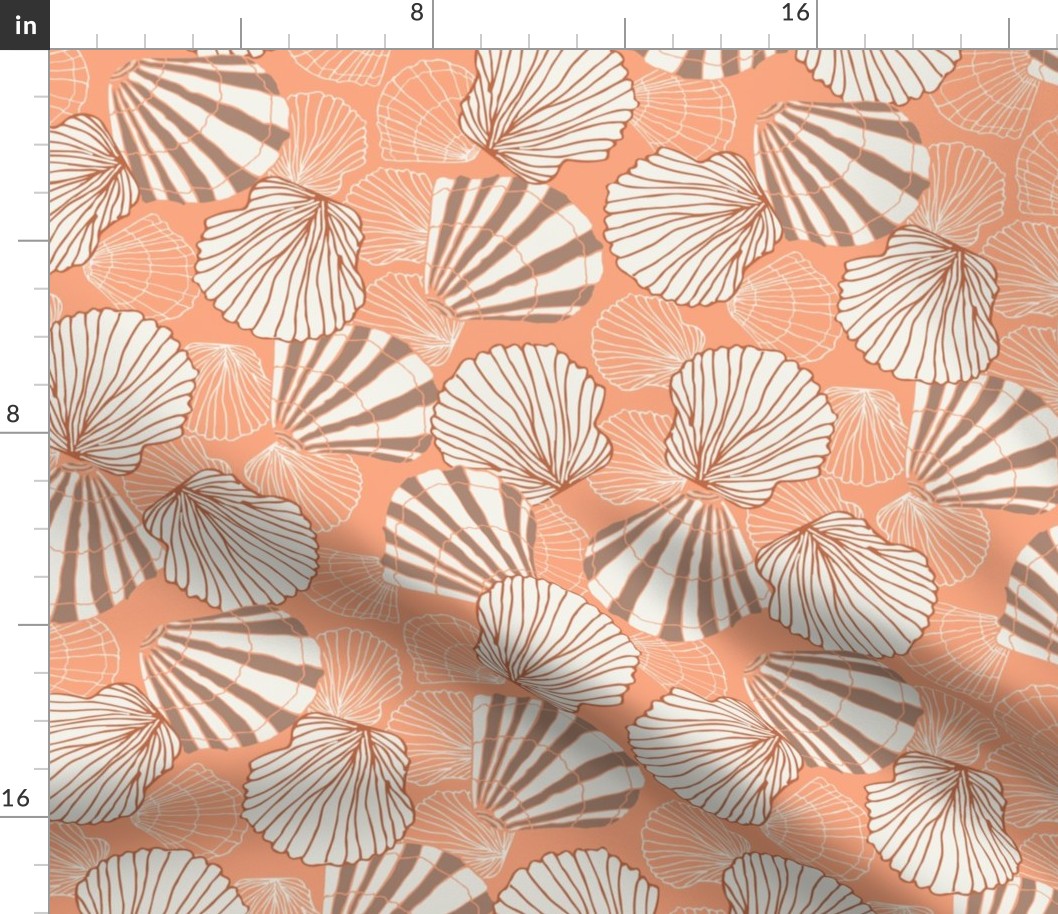 (M) Scallop Sea Shells | Peachy Keen | Med Scale | Coastal Chic