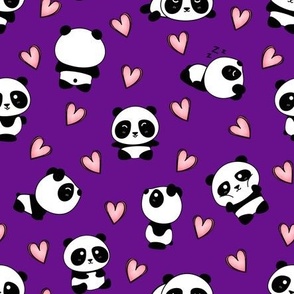 Panda Love Purple
