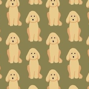 Golden Doodle/Groodle Dogs - on Kahki