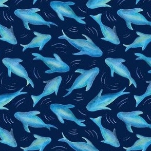 Blue Shark Fish (on blue)