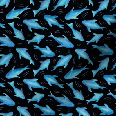 Blue Shark Fish (on black)