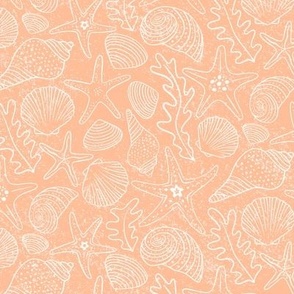 Medium | Sea Shells and Starfish in White on Peach Fuzz