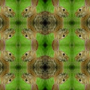 Rabbits_photo_print_overall_1