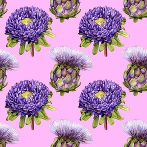 Artichokes and Asters Pink