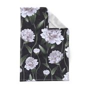 peonies grey on black