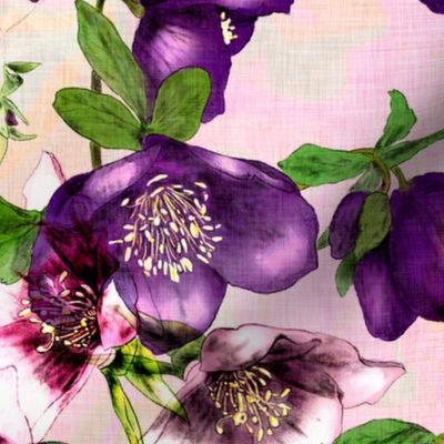 Hand drawn purple Hellebore flowers on a pink marbled background