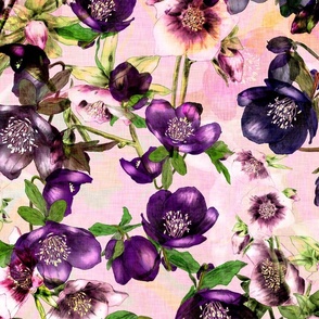 Hand drawn purple Hellebore flowers on a pink marbled background