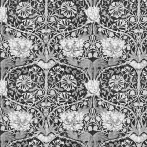 William Morris Honeysuckle - 3135 medium - Black and White