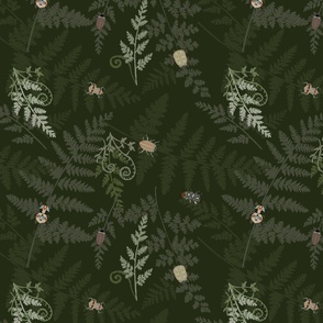 Forest Floor with Ferns and Beetles