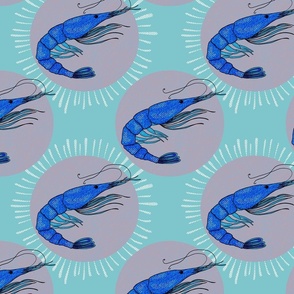Blue Shrimps