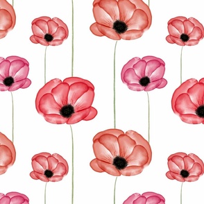 poppies_pastel_spring_floral_aggadesign_00704