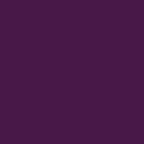 Complimentary purple for purple orange flower montage