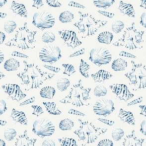 (M) Sea Shells in blue on offwhite in Medium scale