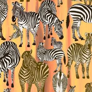 Zebras in savanna 