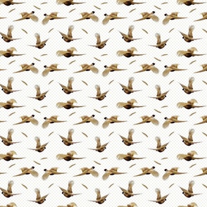 flying pheasants on white
