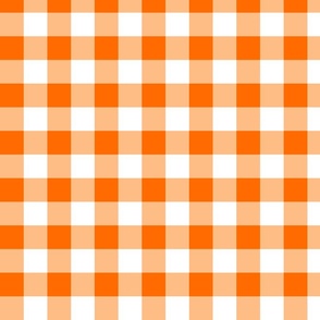 1xSmall Scale - Non-Directional - Plain Gingham - Dark Orange - Light Orange - White