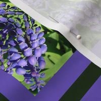 blue_bells_photo_print_fabric_placemats_1