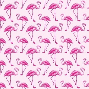 Flamingo | Pink Flamingo | No. 1